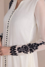 Load image into Gallery viewer, Embroidered Chiffon PR 848
