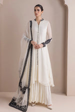 Load image into Gallery viewer, Embroidered Chiffon PR 848
