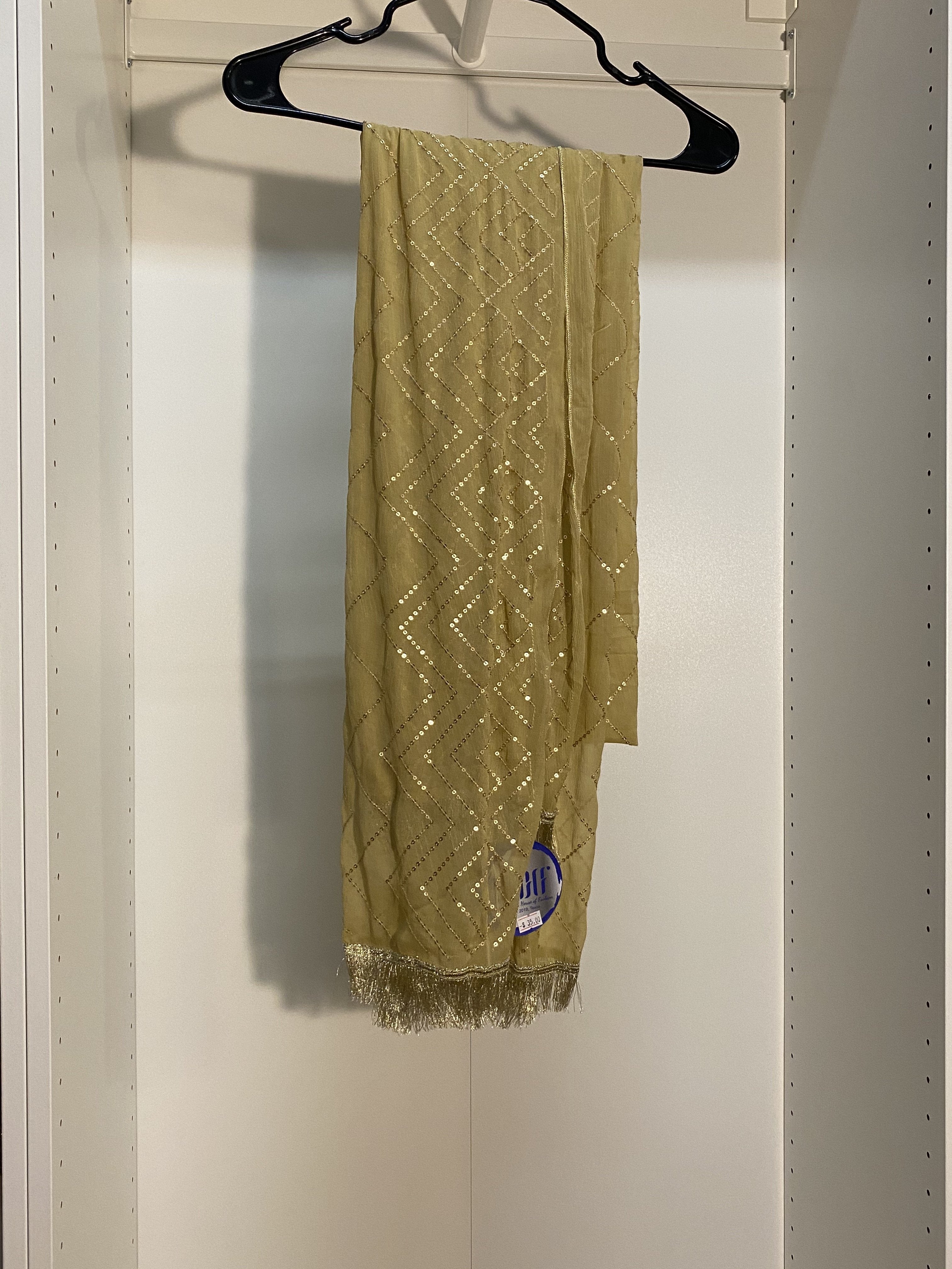 Embroidered Beige Dopatta