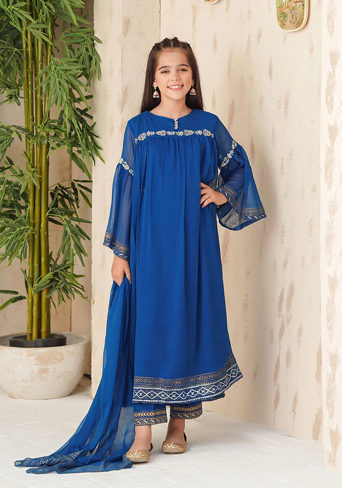 Chiffon Hand Adda Work Dress